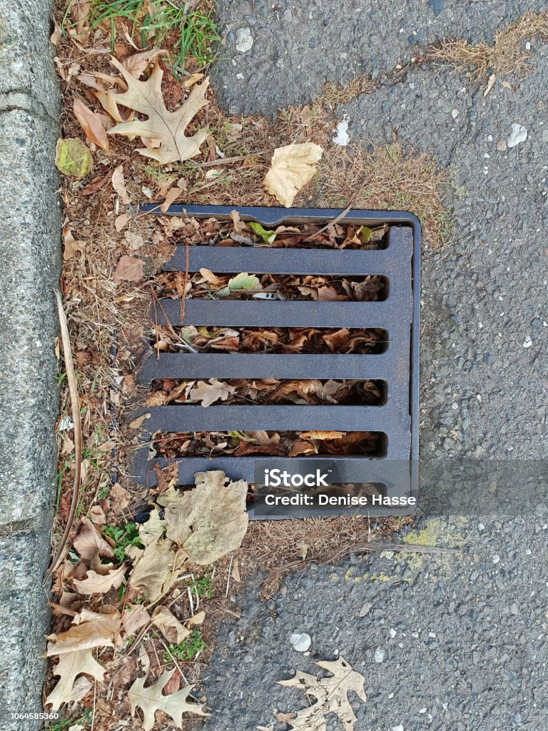 Report Image
